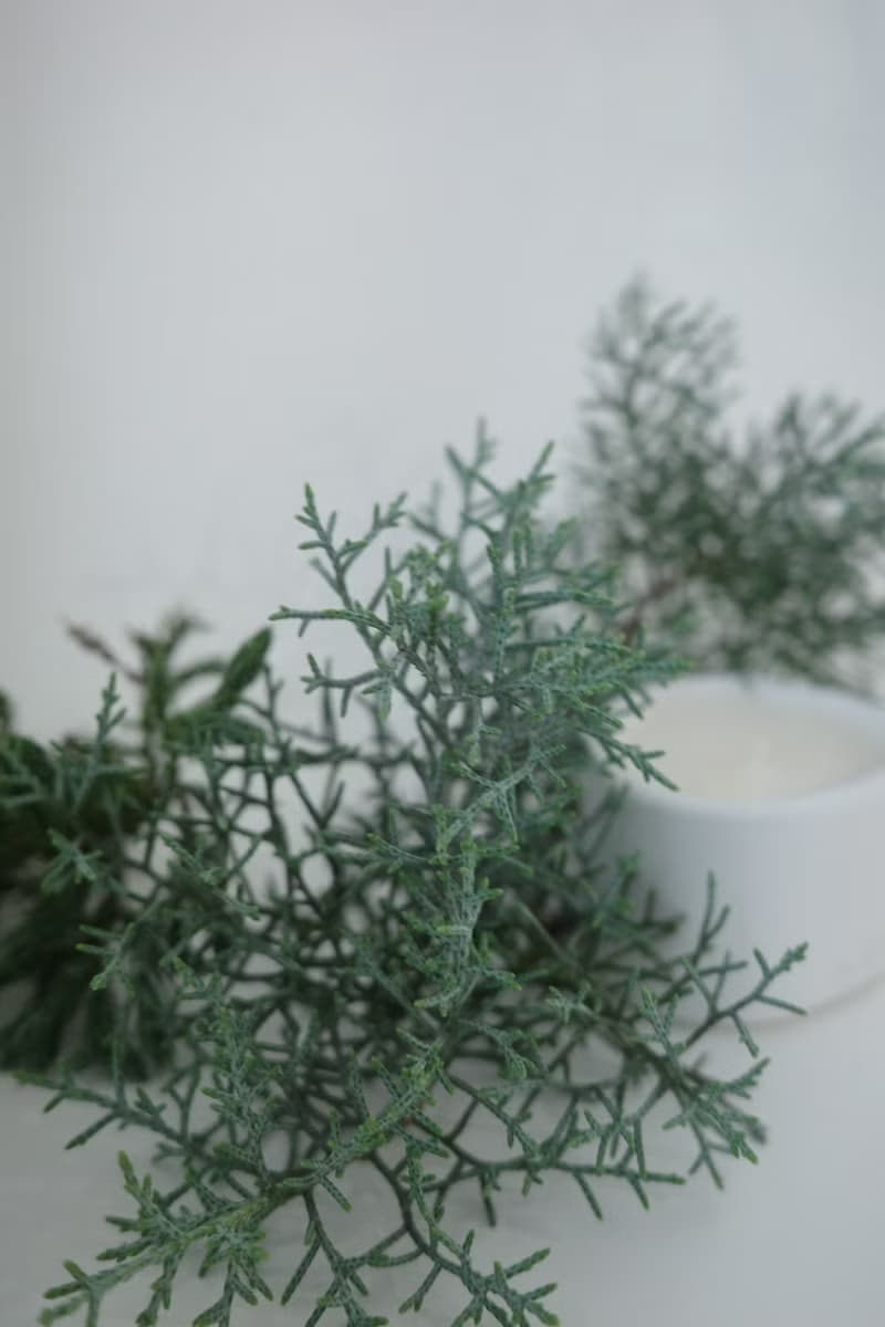The Pond Candle | 冷杉森林 | 手工水泥香氛蠟燭