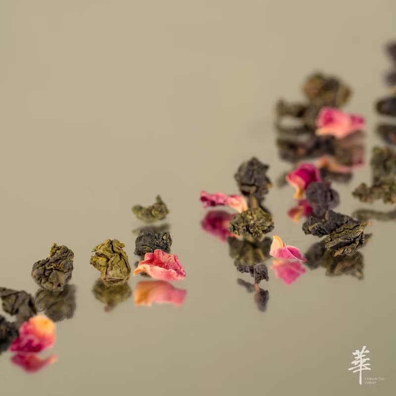 【山茶花香】冬柏烏龍 | 原片茶葉