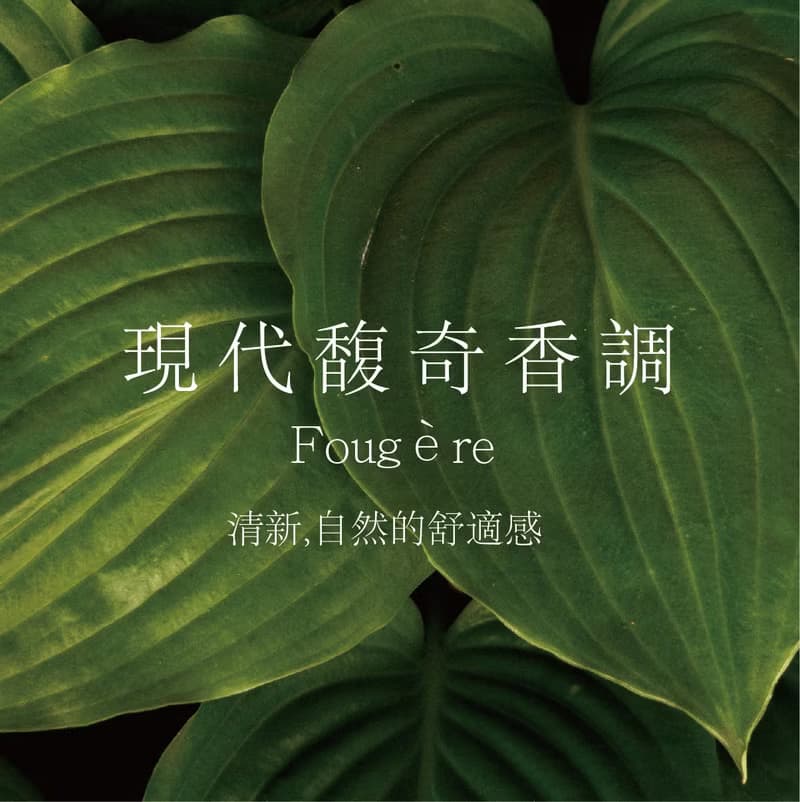 NO.006 It's all part of the process 鼠尾草與海鹽天然水晶能量