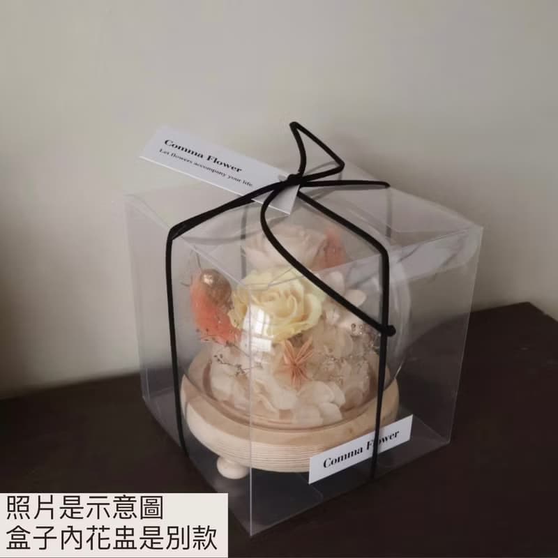 浪漫粉橘永生小夜燈圓形玻璃鐘罩 附盒子 情人節禮物 生日禮物