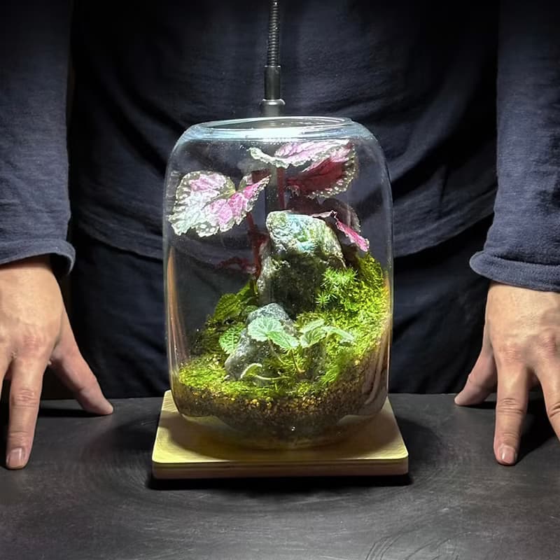 礦石風水生態缸 - 彩墨山水 / 拉長石