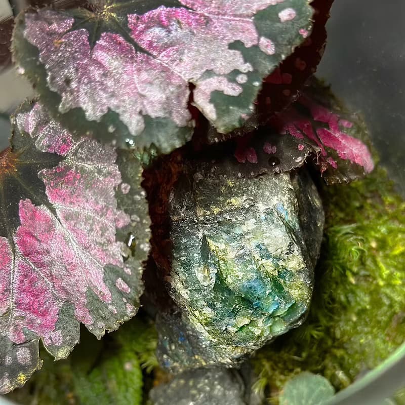 礦石風水生態缸 - 彩墨山水 / 拉長石