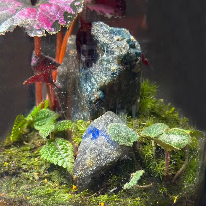 礦石風水生態缸 - 彩墨山水 / 拉長石