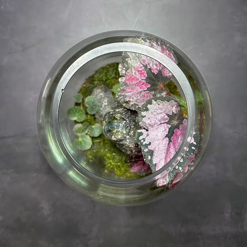 礦石風水生態缸 - 彩墨山水 / 拉長石