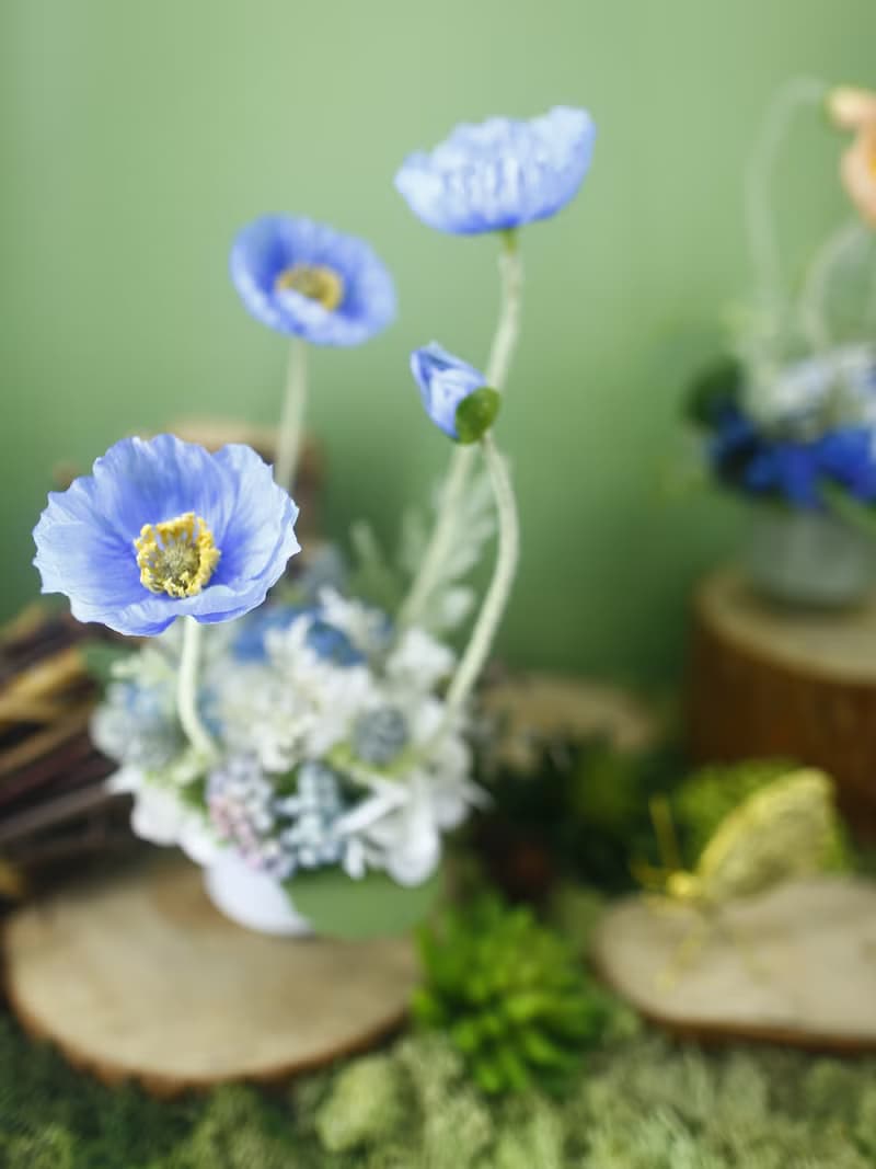 恆久祝福藍美人香氛花禮/入厝禮/開幕/喬遷/送禮/植栽