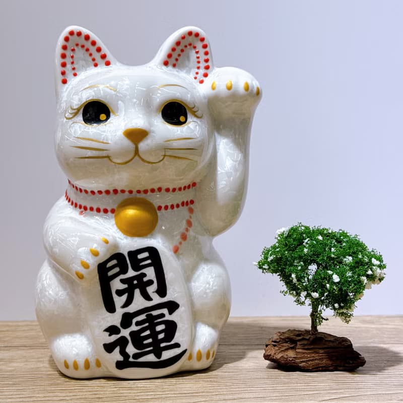 【晶白聚福】日本清水燒招財貓 | 花結晶 白 - 開運 中號