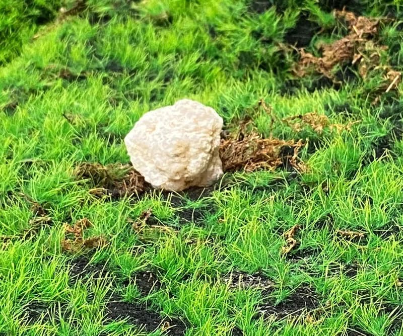 能量擺飾-招財幾何愛心可愛瑪瑙小白晶花球洞 開運 招財 聚財