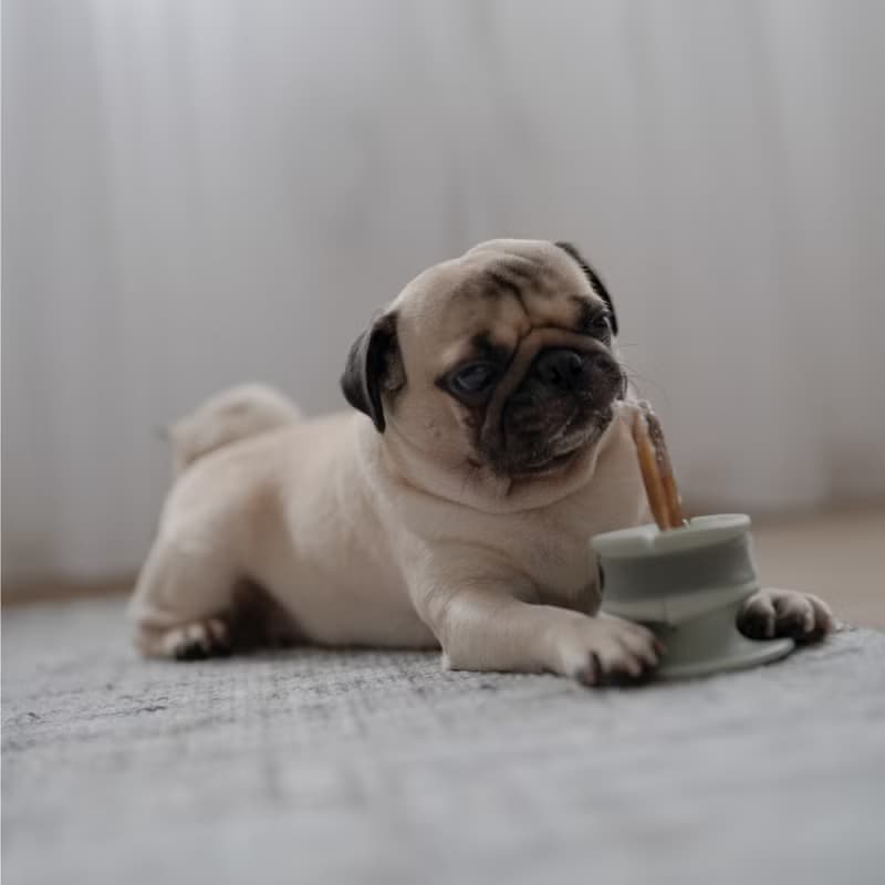 【Lunoji】 CHEWDEN 咬咬握 - 啃咬 安全 抗憂解