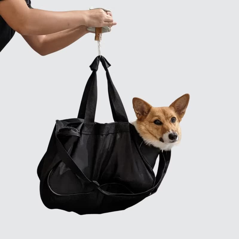 【Lunoji】 CHEWDEN 咬咬握 - 啃咬 安全 抗憂解