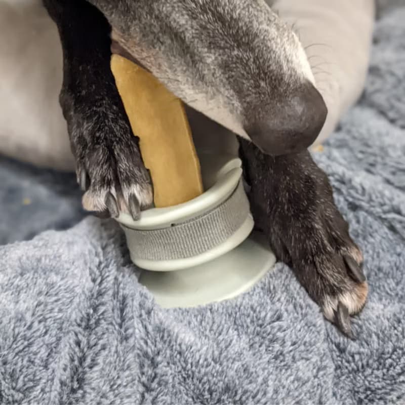 【Lunoji】 CHEWDEN 咬咬握 - 啃咬 安全 抗憂解