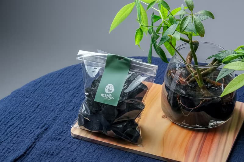 水耕專用備長炭塊 | 調整水質/固定植物/裝飾美化