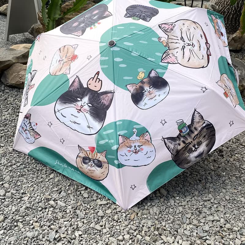 // 超輕量 // 蛋定貓貓 自動傘 雨傘 遮陽傘