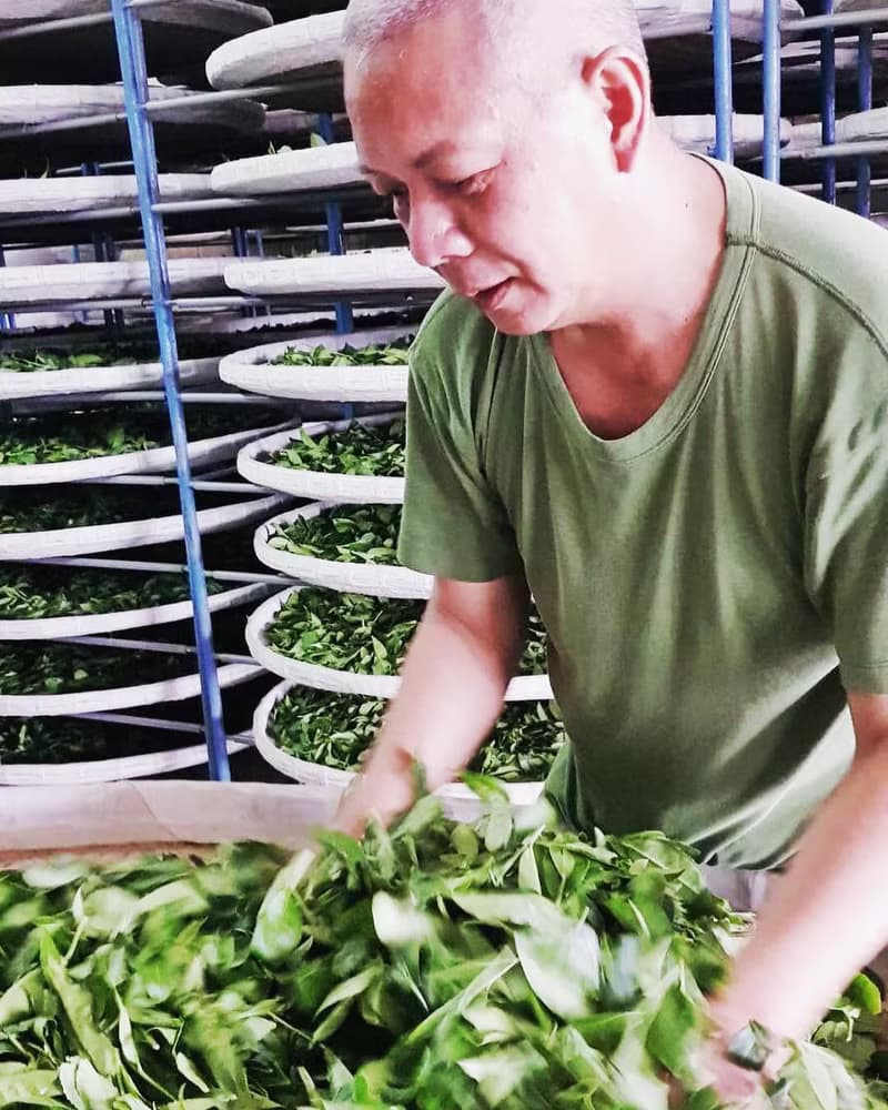 阿里山金萱茶 150g 台茶12號 天然的奶香和桂花香氣