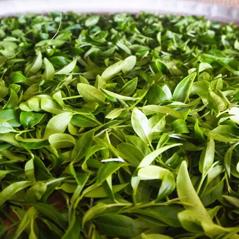 阿里山金萱茶 150g 台茶12號 天然的奶香和桂花香氣