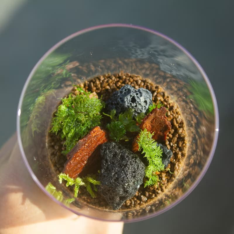 玫瑰聖代 生態瓶 藝術生態瓶 綠植 禮物 禮品