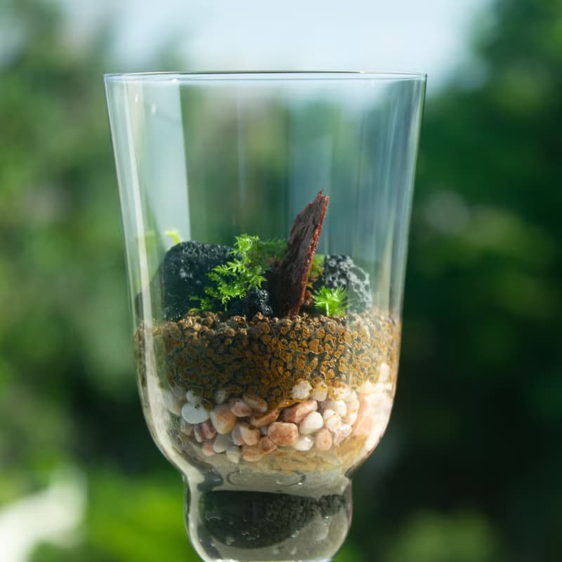 玫瑰聖代 生態瓶 藝術生態瓶 綠植 禮物 禮品
