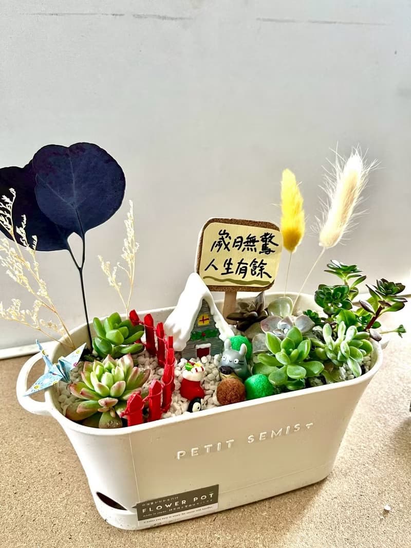 多肉組盆 多肉植物 日式枯山水 煤炭精靈 龍貓 吉卜力 植物盆栽