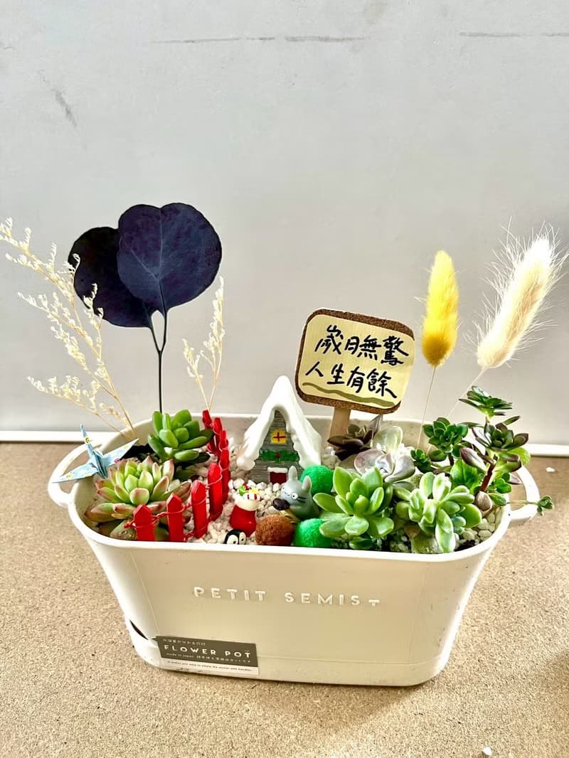 多肉組盆 多肉植物 日式枯山水 煤炭精靈 龍貓 吉卜力 植物盆栽
