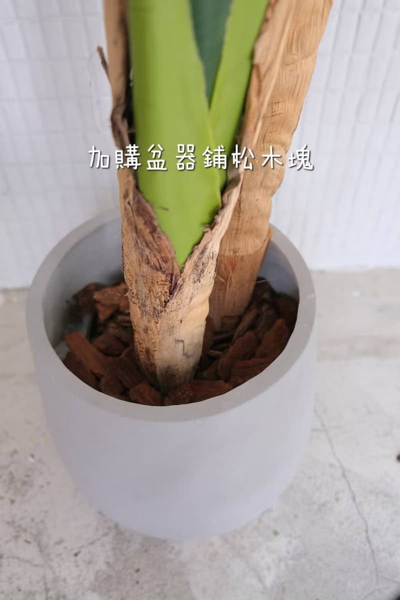 人造植栽/仿真芭蕉樹/仿真植物/綠化/永不凋零