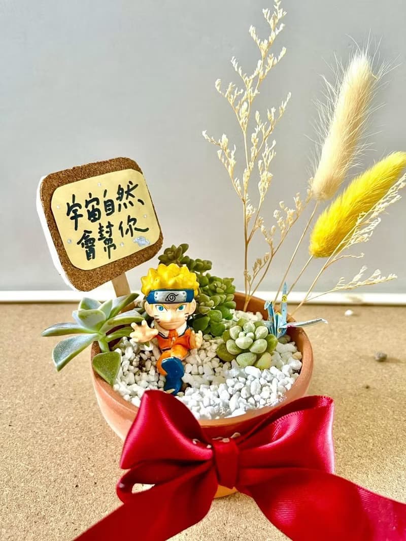 台中多肉組盆 多肉植物 日式枯山水 火影忍者 漩渦 鳴人 Naruto