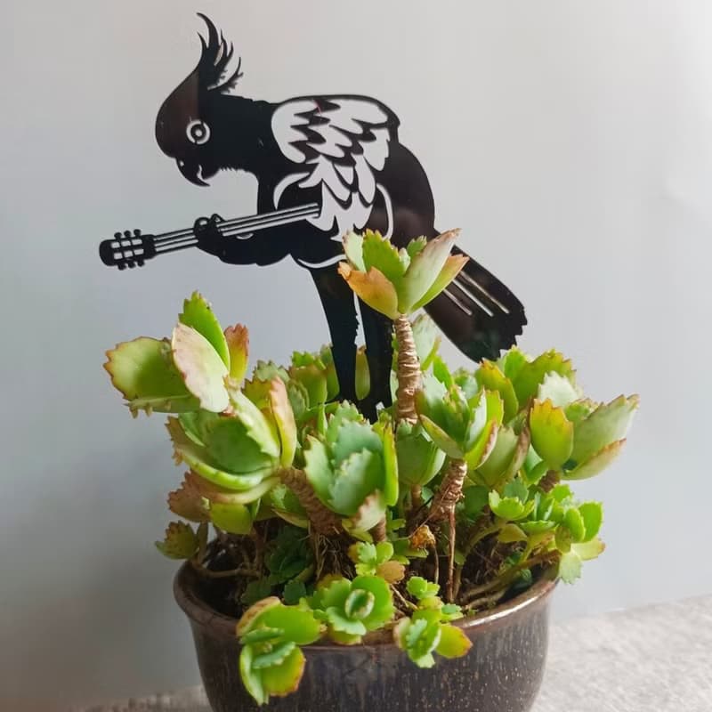 角落小劇場/植栽裝飾/動物搖滾大明星系列/鸚式情歌/療癒小物