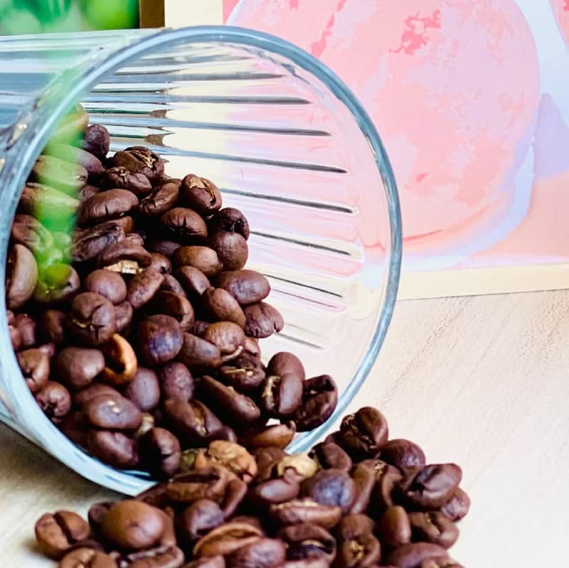 衣索比亞 桃可可 咖啡豆 日曬 225g  中淺烘焙 西達摩 Sidamo