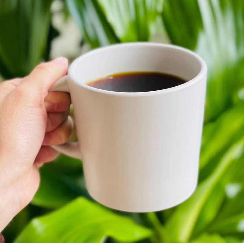 衣索比亞 桃可可 咖啡豆 日曬 225g  中淺烘焙 西達摩 Sidamo