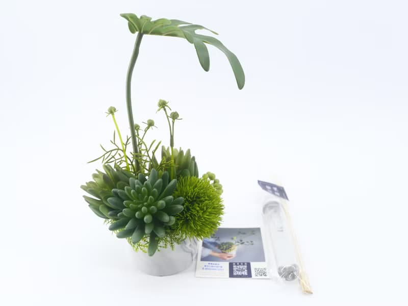 春雨葉多肉草球香氛植栽/擬真植物/人造盆栽/綠化/佈置/禮物