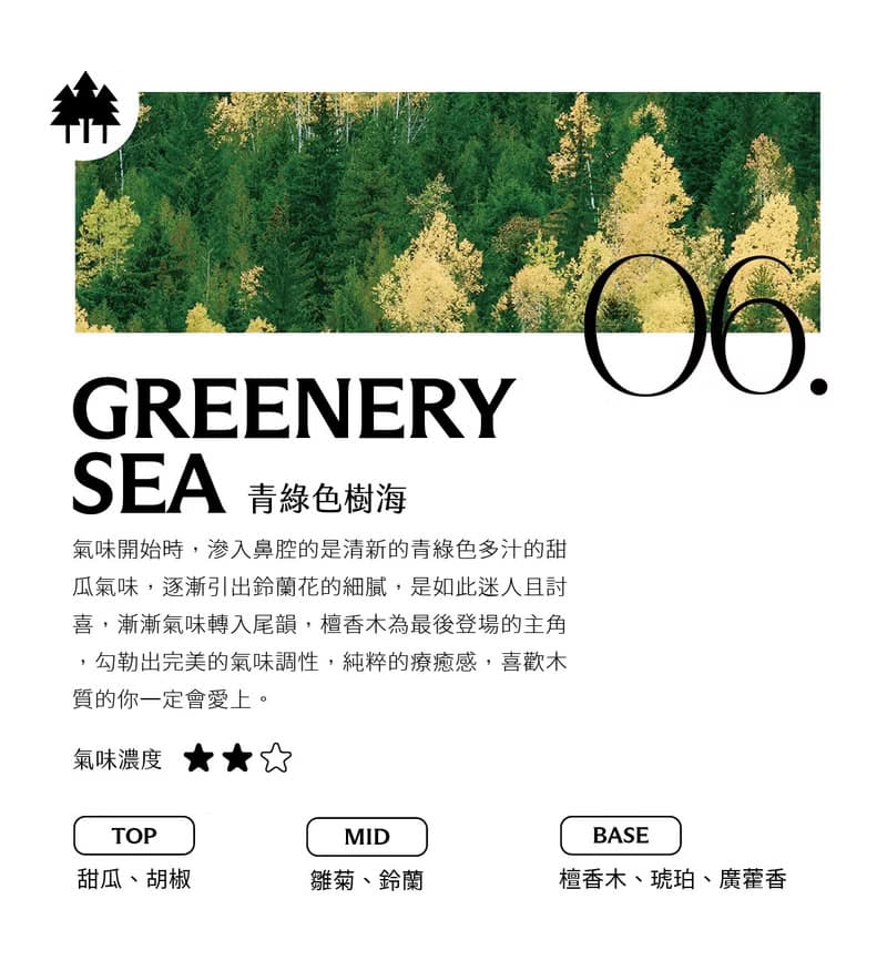 M06 青綠色樹海 系列商品/蠟燭/擴香瓶/香氛噴霧