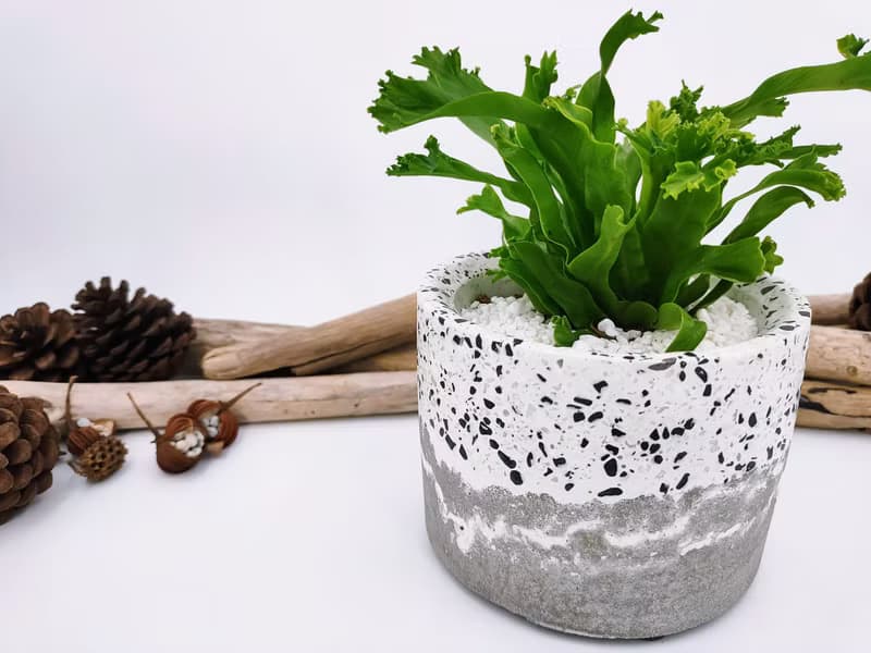 水泥花器│水泥盆栽│水泥植栽(不含植物)│