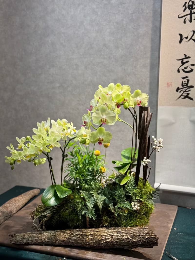 開幕送禮 企業佈置 蘭花造型系列 限台中地區