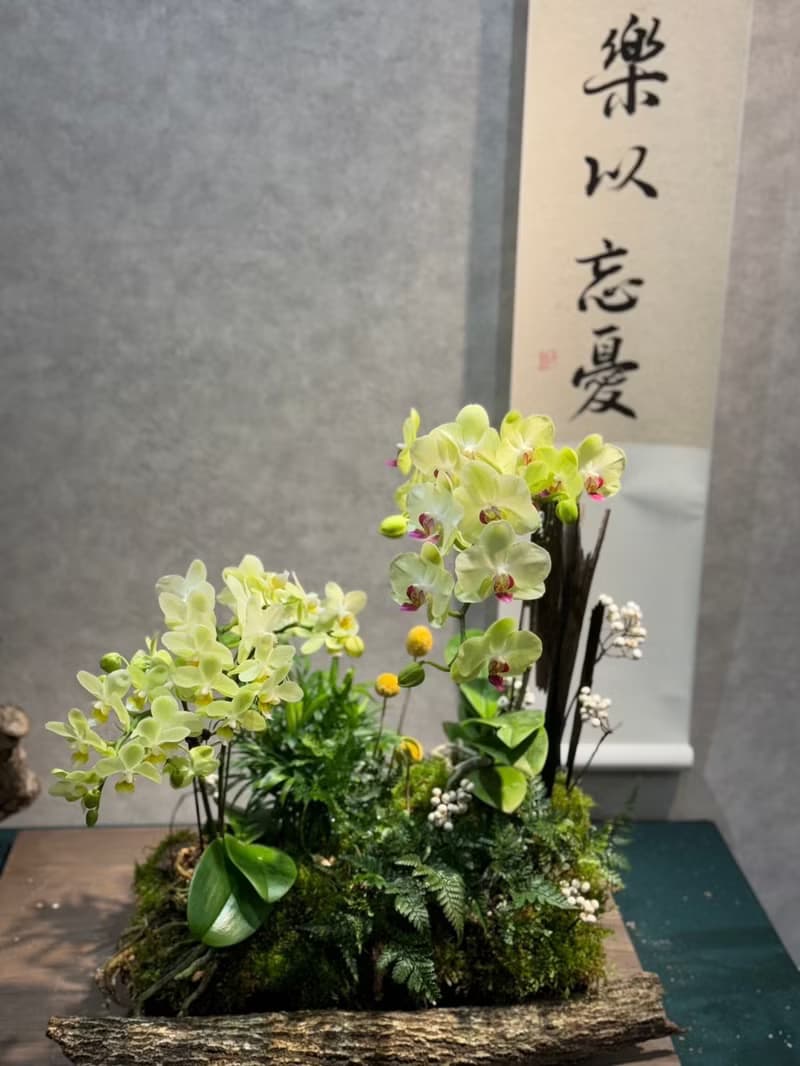 開幕送禮 企業佈置 蘭花造型系列 限台中地區