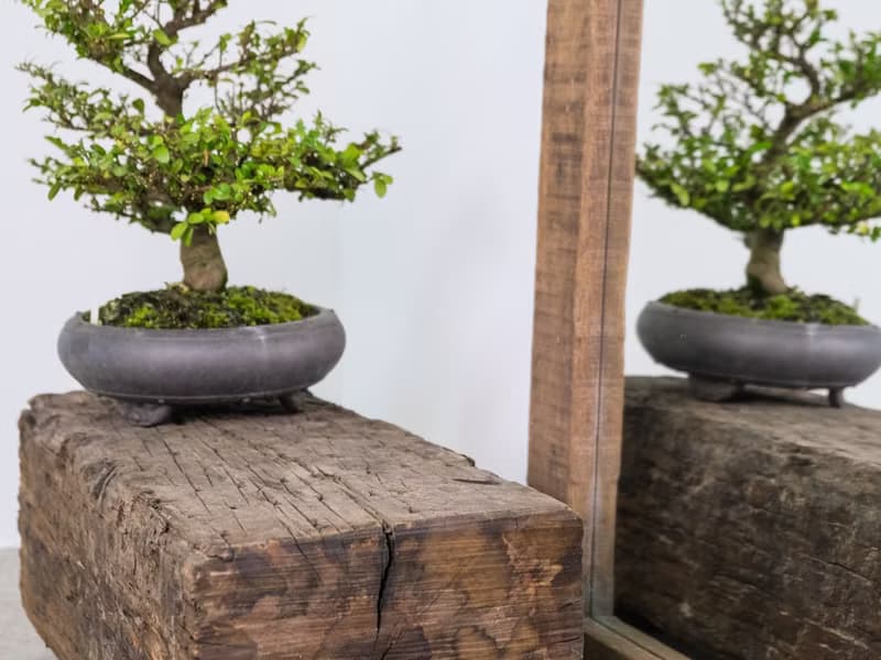 木島BOKTO || 枕木 || 戶外展示台 置物架 盆栽植物收納架