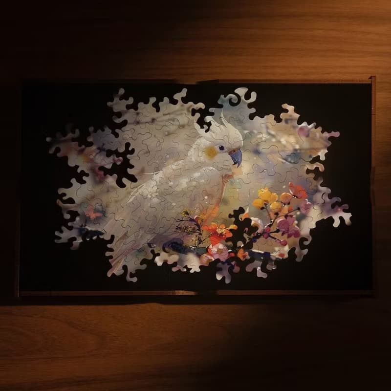 波德-翅膀上的夢【壁虎拼圖】