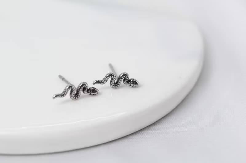 【SWS飾品】個性迷你蛇 醫療鋼耳環 抗過敏 一般細針