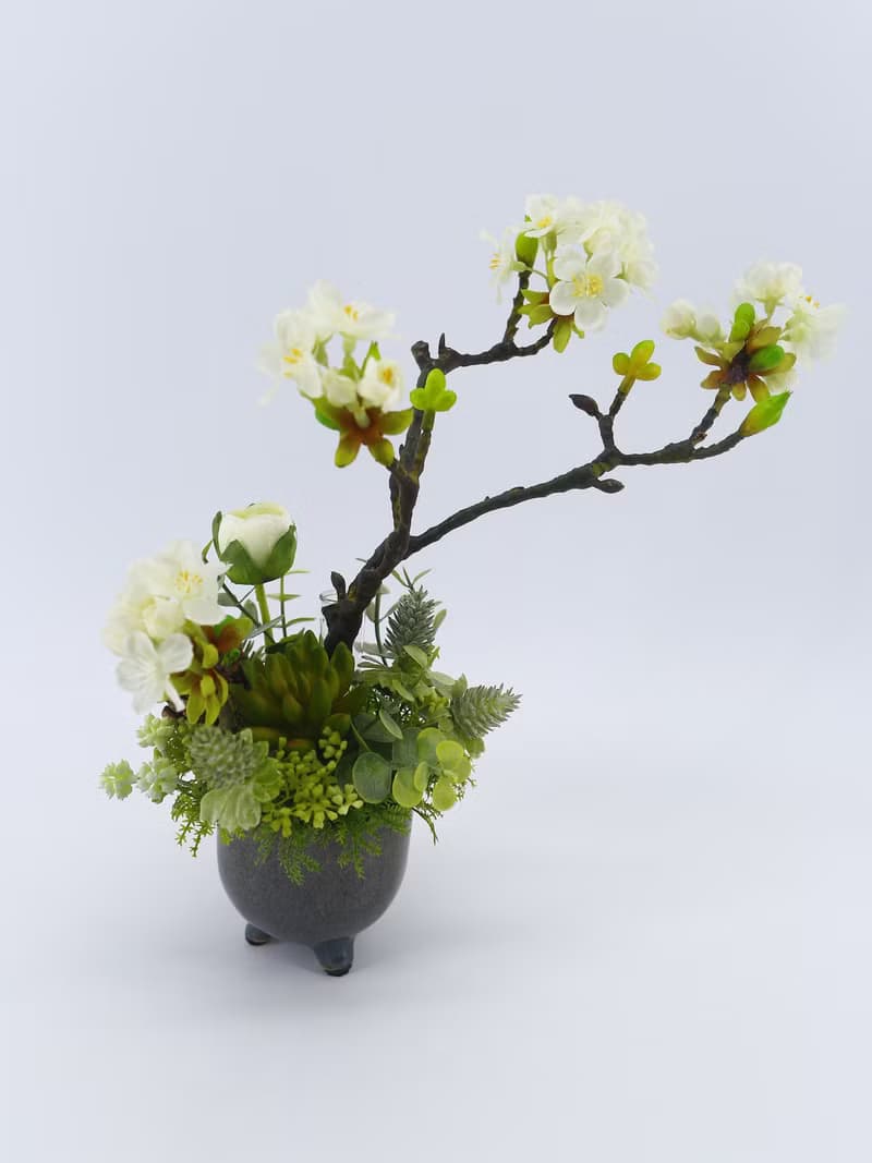 梨花日式陶盆香氛花禮/入厝禮/開幕/喬遷/送禮/植栽