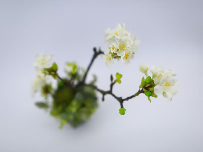 梨花日式陶盆香氛花禮/入厝禮/開幕/喬遷/送禮/植栽