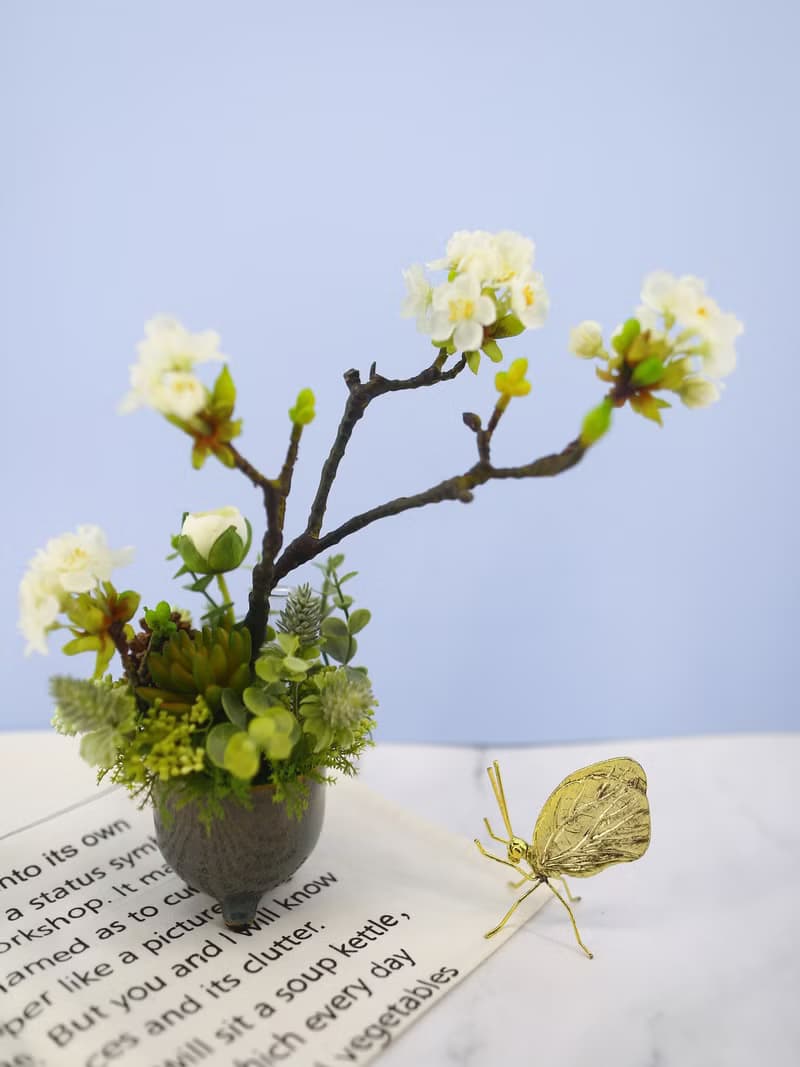 梨花日式陶盆香氛花禮/入厝禮/開幕/喬遷/送禮/植栽