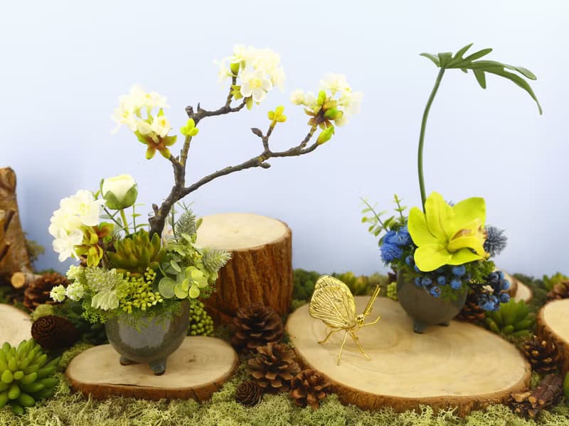 梨花日式陶盆香氛花禮/入厝禮/開幕/喬遷/送禮/植栽