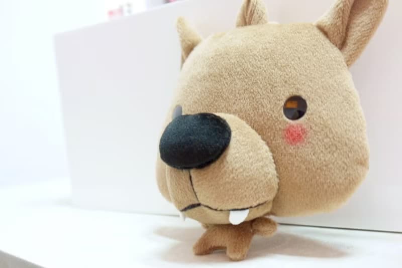 Bucute呆呆郎證件套/悠遊卡套/證件夾/獨家發售/手工製作/交換禮物/生日禮物/大野狼