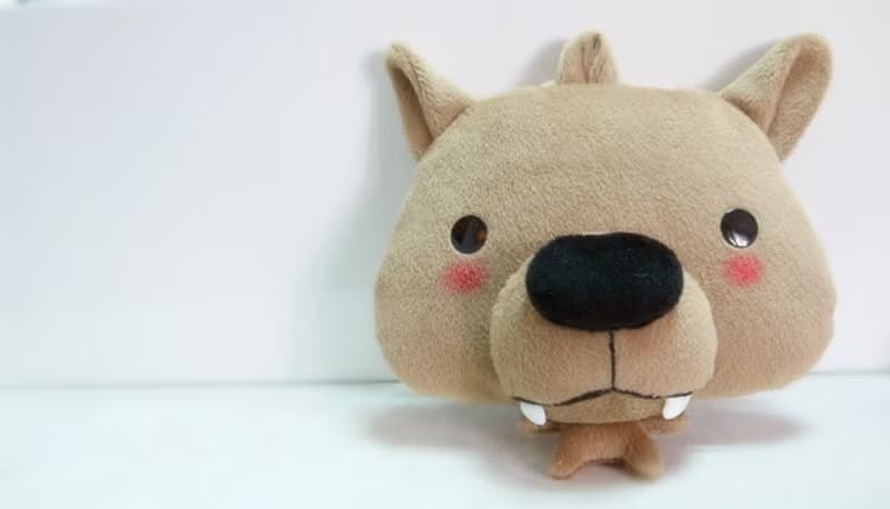 Bucute呆呆郎證件套/悠遊卡套/證件夾/獨家發售/手工製作/交換禮物/生日禮物/大野狼