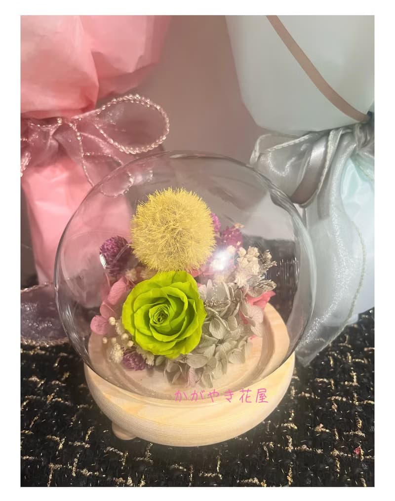 蒲公英玫瑰玻璃盅/玫瑰/永生花/玻璃罩/乾燥花