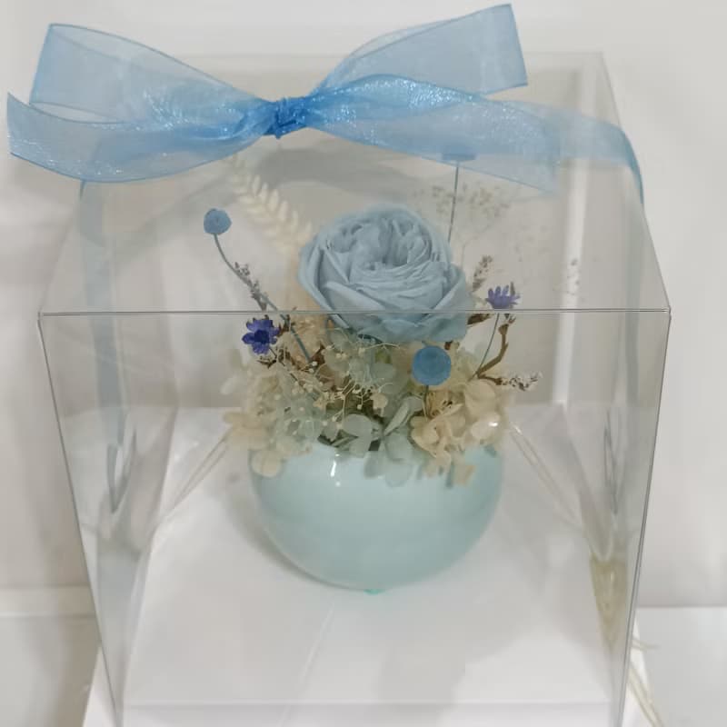 畢業老師禮物花束向日葵 情人節禮物花束 蛋生日不凋迷你盆花七夕