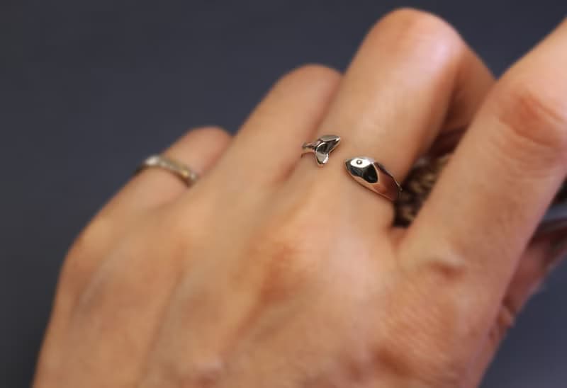 動物系列-小魚兒切面925銀戒