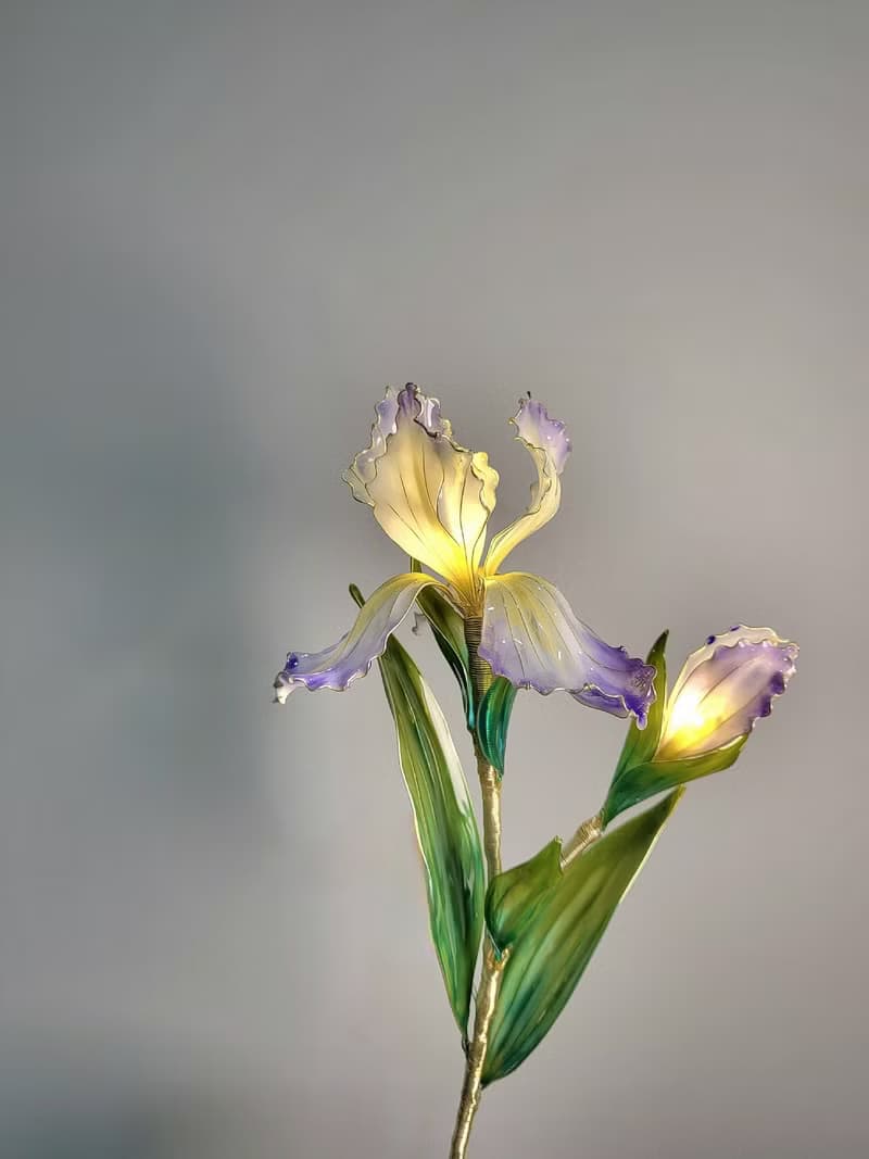 鳶尾花・沾浸藝術花燈【閒逛花間系列】。小夜燈。生日禮物