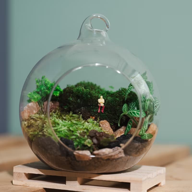 【體驗】玻璃球生態－苔蘚小造景 可用文化幣