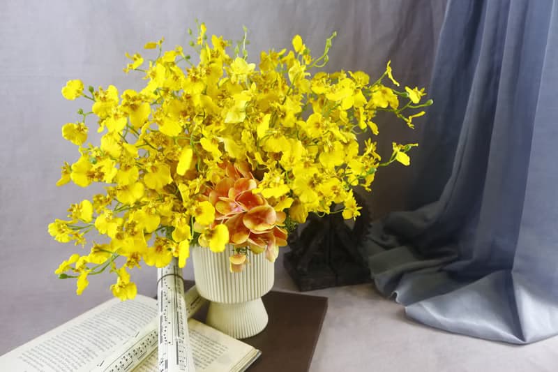 文心蘭橘繡球香氛花禮/入厝禮/開幕/喬遷/送禮/植栽