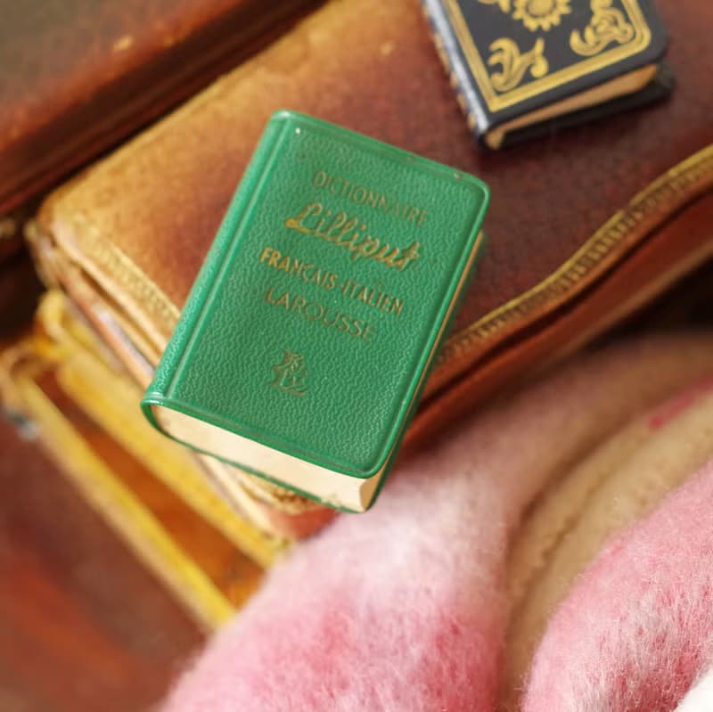 古董法國1961年綠色書皮法文小辭典 小書 迷你 小尺寸 W739