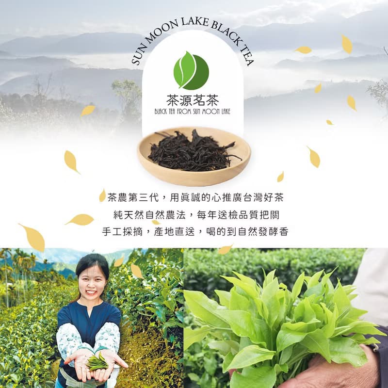 紅韻紅茶 日月潭紅茶 台茶21號 中秋節禮盒 一芯二葉 產地直送 禮