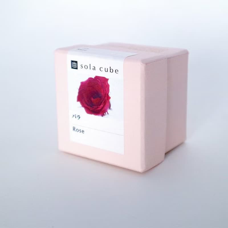 Sola cube 玫瑰立方塊_熱情、美麗